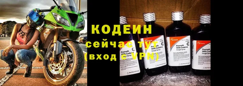 закладка  Судогда  Кодеин напиток Lean (лин) 